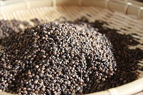 Nụ vối Nước uống đẹp da, giữ dáng