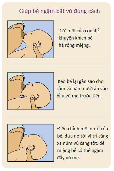 15 2015821163925 ngam vu dung cach