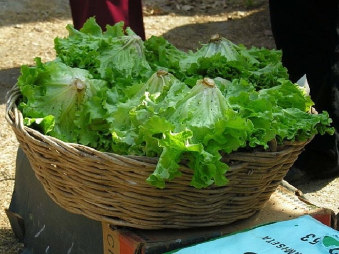 9 thực phẩm nên ăn để ấm cơ thể trong mùa đông