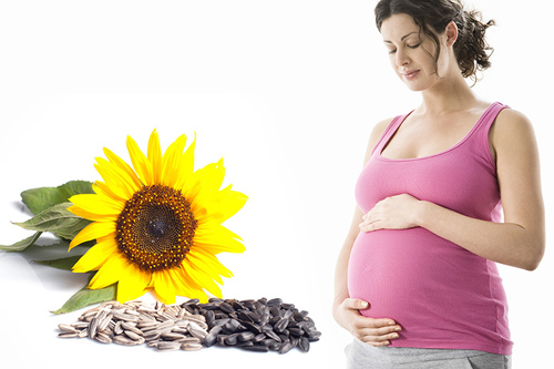 Ăn hạt hướng dương tốt cho mẹ bầu