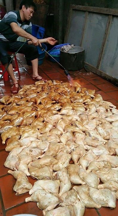 Gà được nướng bằng đèn khò trên nền đất mất vệ sinh- Ảnh VietNamNet
