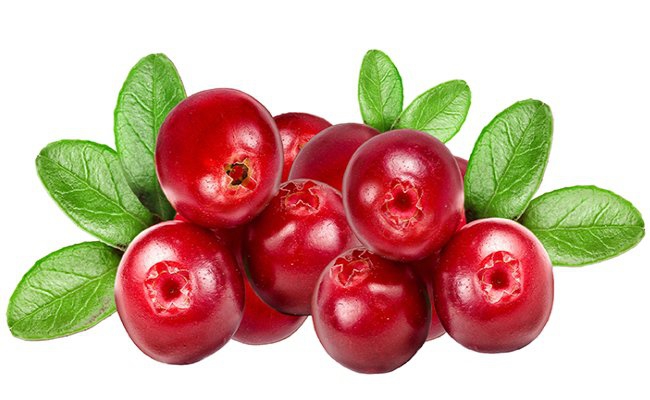 Người viêm loét dạ dày nên ăn quả nam việt quất viem loet da day, nguoi viem loet da day nen an qua nam viet quat