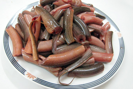 4 điều đặc biệt lưu ý khi ăn lươn