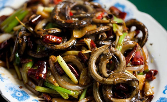 4 điều đặc biệt lưu ý khi ăn lươn 4 điều đặc biệt lưu ý khi ăn lươn