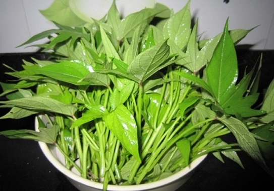 Mẹ bầu ăn gì để vừa khỏe vừa dễ đẻ? Mẹ bầu ăn gì để vừa khỏe vừa dễ đẻ?