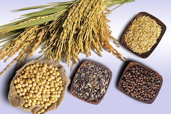 Chế độ dinh dưỡng cho người bị tiểu đường