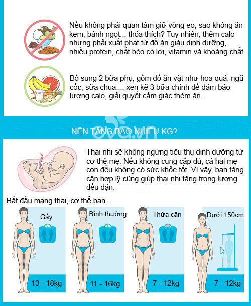 Tiết lộ lượng calories cần nạp vào cơ thể khi mang thai
