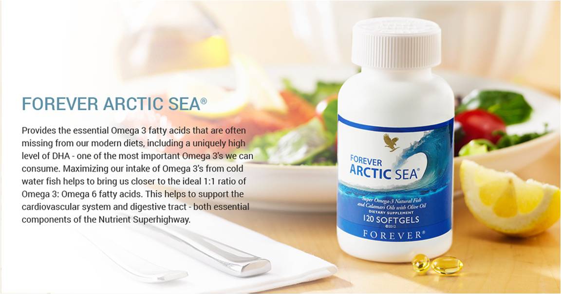 Forever Arctic Sea 2