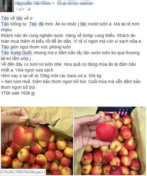 táo đá mini
