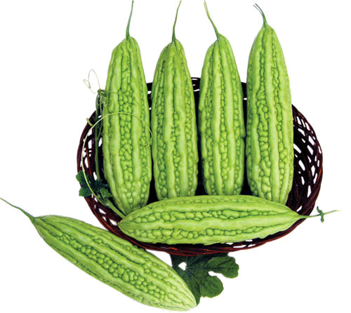 tac dung va tac hai khong ngo cua muop dang muopdang 1490869239 width500height446